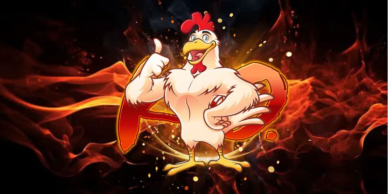 Hướng dẫn cách chơi đá gà Kubet